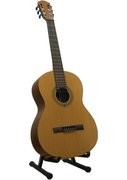 Prs-01 Gitar Sehpası Standı ve Dream Tel Takımı