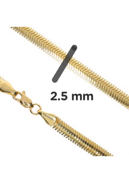 Balık Sırtı Altın Kolye 14 Ayar 55 Cm.