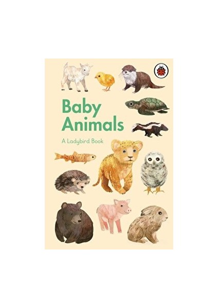 A  Book: Baby Animals