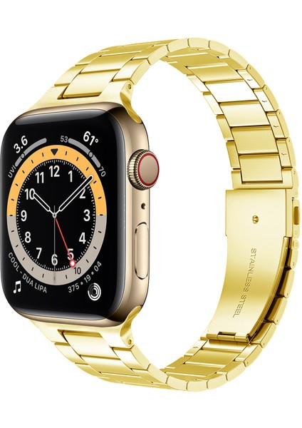 Apple Watch 4 5 6 44MM Paslanmaz Çelik Zırh Armor Tme Kasa Kordon