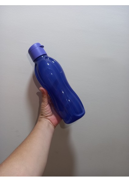 Eko Şişe 750 ml