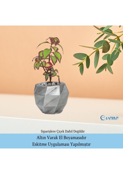 Ahşap Ayaklı Beton Saksı Dekoratif 1 Adet Dönen Poly Model indirimleri