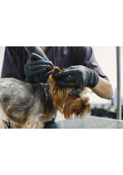 Kedi Köpek Şarjlı Tıraş Makinesi Y5 Profesyonel Pet Tıraş Makinesi modelleri