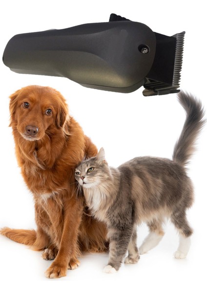 Kedi Köpek Şarjlı Tıraş Makinesi Tüy Bakım Seti Profesyonel Pet Tıraş Makinesi fiyatları