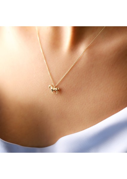 Bold Pilot Altın Kolye fiyatları