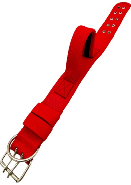 Kulplu Yumuşak Dokulu Kolon Köpek Tasması Köpek Taktik Boyun Tasması fırsatları