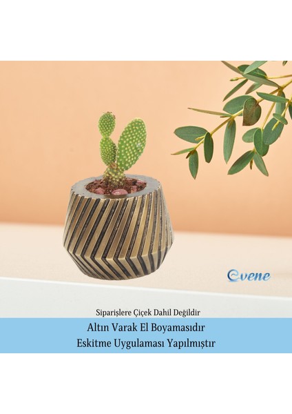 Ahşap Ayaklı Beton Saksı Dekoratif 1 Adet Dişli Model