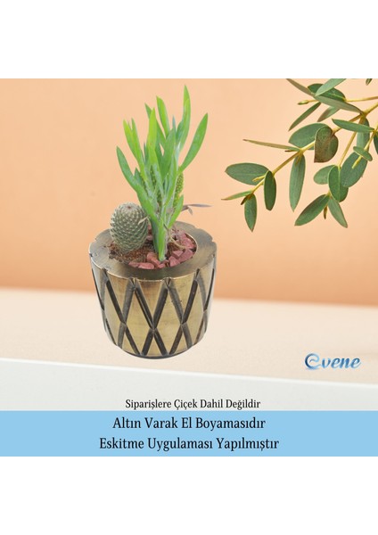 Ahşap Ayaklı Beton Saksı Büyük Boy 1 Adet Baklava Model