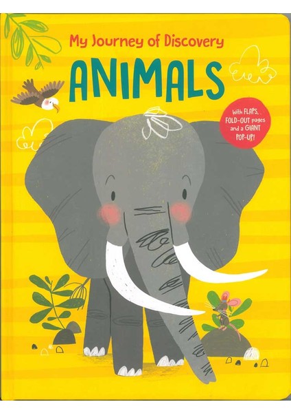 My Journey Of Discovery: Animals