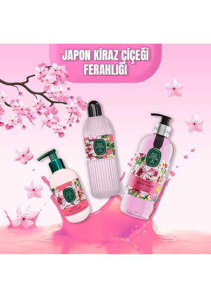 Japon Kiraz Çiçeği Süper Bahar Paketi