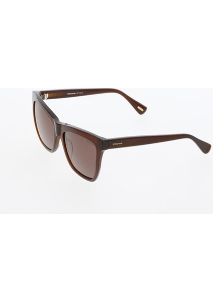 3438 56 17 140 04 Kadın Güneş Gözlüğü fiyatları