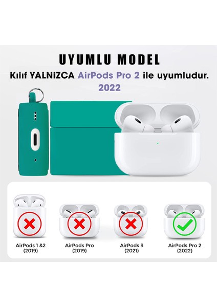Airpods Pro 2.nesil Kılıf Cartoon Figürlü Silikon Crtn-Fgr-Avcd