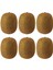 Yapay Meyve Kivi Fake Fruit 6 Lı Paket 2