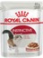 Mergen Royal Canin Gravy Soslu Instinctive Yetişkin Kedi Konservesi 85GR 2