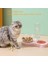 Kedi Köpek 2 In 1 Mama Kaseli ve Otomatik Su Içme Şişeli 5