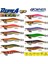 51882 Renk: 01 Draw Squıd Ed-3,5 1