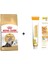 Persian Yetişkin Kedi Maması 2 kg + Gimcat Multivitamin 100 gr 1