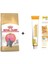 Kitten British Shorthair Yavru Kedi Maması 2 kg + Gimcat Multivitamin 100 gr 1