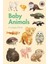 A  Book: Baby Animals 1