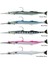 Needlefısh Pullsetail 2+1 30CM 105GR Blue 1