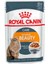 Intense Beauty Gravy Yaş Kedi Maması 85 gr 1