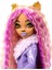 Monster High Gizemli Arkadaşlar Clawdeen Wolf HKY61 3