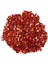 Glitter Sim Epoksi Süsleme Aksesuarı 5 gr Kırmızı 1