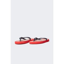 DeFacto Kadın Etnik Desenli Parmak Arası Terlik N5322AZ21SM