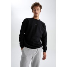 DeFacto Boxy Fit Bisiklet Yaka Sweatshirt X8282AZ22AU