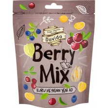 Dovido Berry Mix Karışık Kuru Meyve 100 gr Doğal Vitamin Deposundan Sağlıklı Atıştırmalık