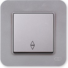 Günsan Radius Vavien, Gümüş