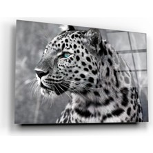 Eliza Home  Leopar Cam Tablo
