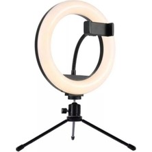 Ovleng 8'' Makyaj LED Halka Işık Tripod Ayak Renkli Standart Boyutlu Youtuber Video Işığı