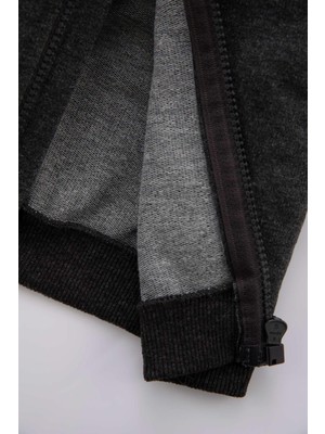 DeFacto Erkek Bebek Kapüşonlu Fermuarlı Sweatshirt Kumaşı Hırka Z1944A223SP