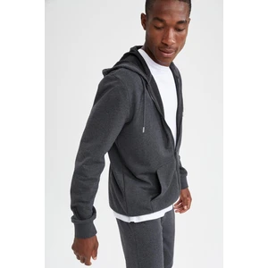 Defacto Regular Fit Kapüşonlu Fermuarlı Sweatshirt T0092AZ21AU