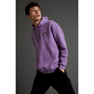 Boxy Fit Kapüşonlu Desenli Uzun Kollu İçi Yumuşak Tüylü Sweatshirt V5920AZ21WN