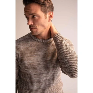 Regular Fit Bisiklet Yaka Triko Kazak N9902AZ22WN