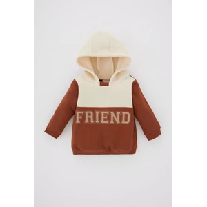 Erkek Bebek Renk Bloklu Kapüşonlu İçi Yumuşak Tüylü Sweatshirt Y8041A222WN