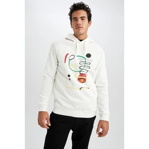 Regular Fit Kapüşonlu Sweatshirt Y8182AZ22WN