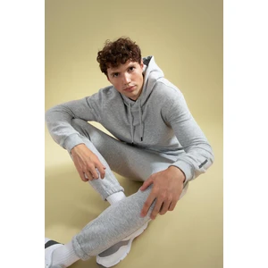 DeFactoFit Standart Fit Kapüşonlu Sweatshirt Y2281AZ22AU