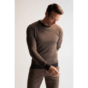 Slim Fit Bisiklet Yaka Yamalı Kol Detaylı Triko Kazak R1110AZ22WN