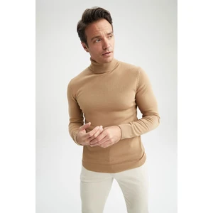 Slim Fit Balıkçı Yaka Triko Kazak R1124AZ22WN