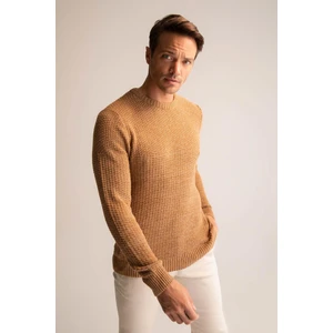 Regular Fit Bisiklet Yaka Triko Kazak R1175AZ22WN