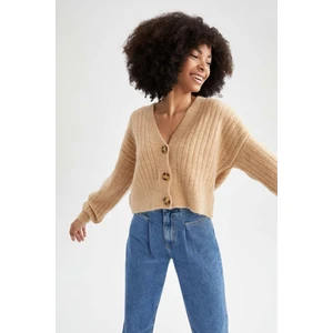 Regular Fit V Yaka Hırka R1389AZ22AU