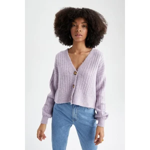 Regular Fit V Yaka Hırka R1389AZ22AU