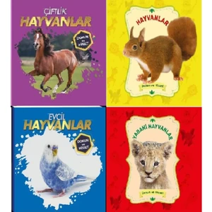 Dokun ve Hisset 4 Kitap Set