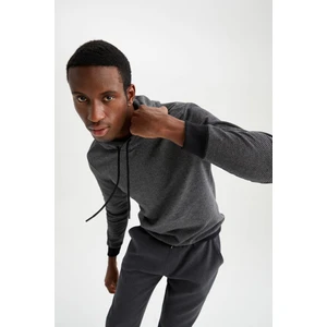 Regular Fit Kapüşonlu Uzun Kollu Sweatshirt W2947AZ21WN