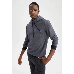 Regular Fit Sweatshirt W2946AZ21WN