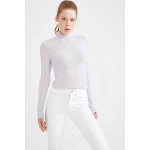 Slim Fit Yarım Balıkçı Yaka Basic Fitilli Triko Kazak L8848AZ21AU