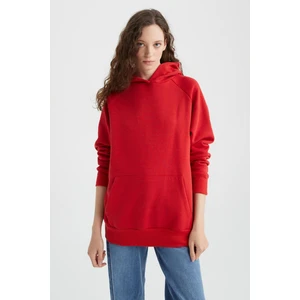 Bisiklet Yaka Kapüşonlu Kanguru Cepli Basic Reglan Sweatshirt Z9352AZ22AU